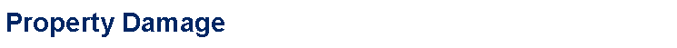 Text Box: Property Damage